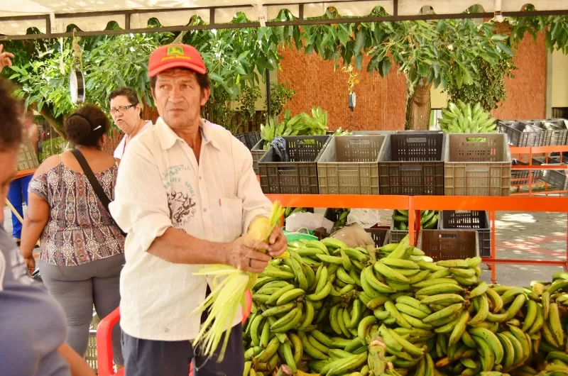 Productos de campo araucano en la plazoleta de la alcaldía municipal.